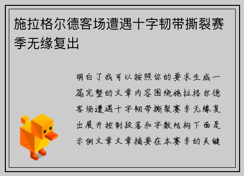 施拉格尔德客场遭遇十字韧带撕裂赛季无缘复出